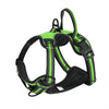 Nylon Adjustable Dog Harness